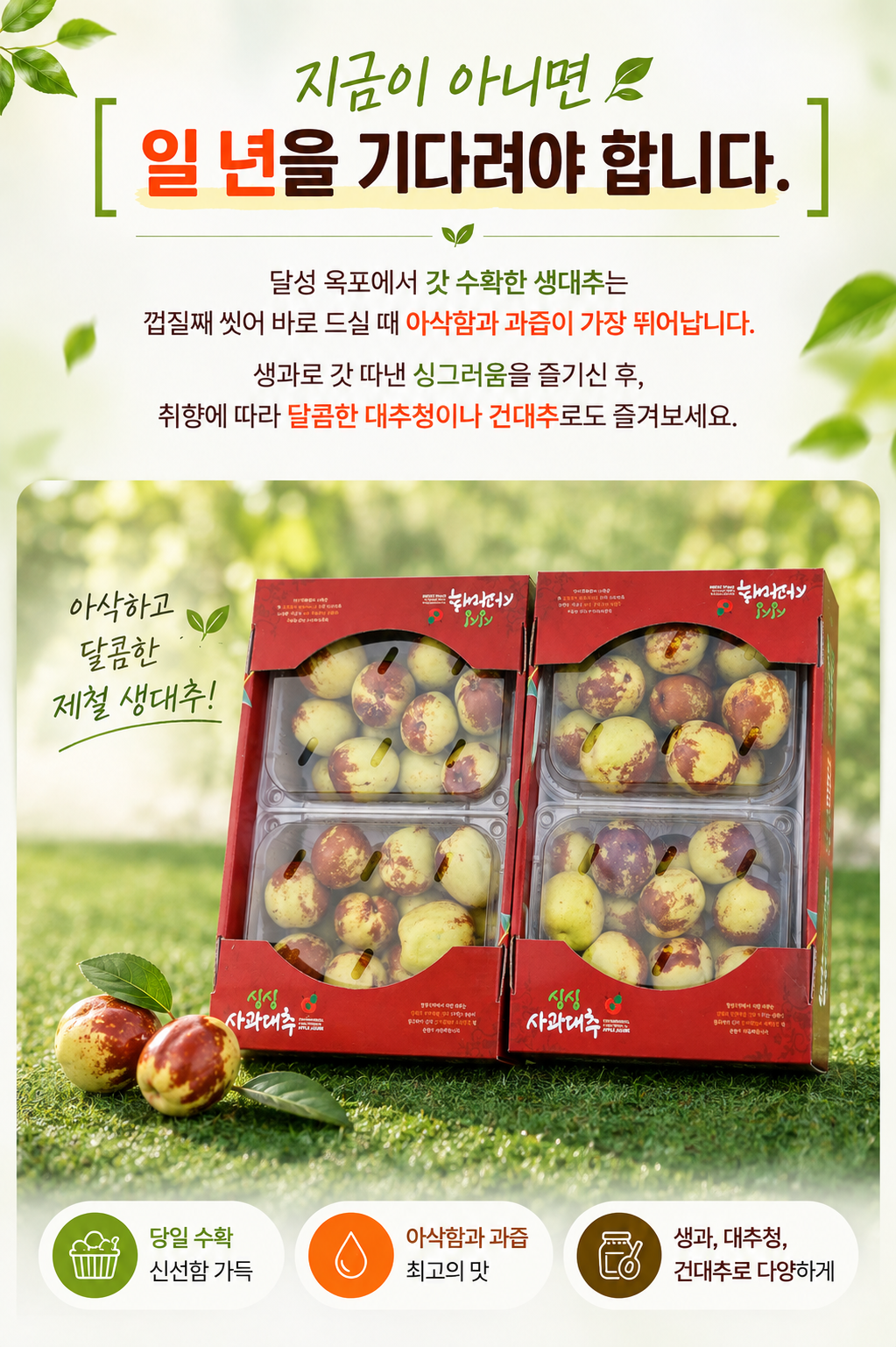 가을 여행 추천